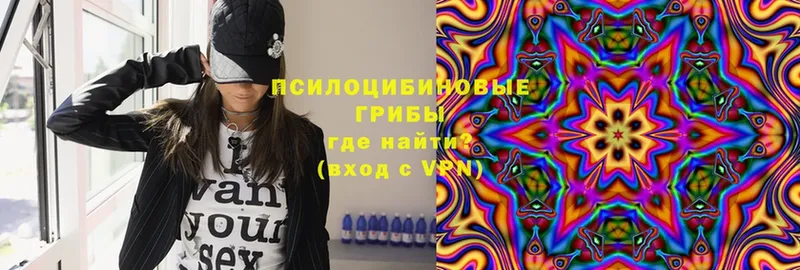 Галлюциногенные грибы Magic Shrooms  Ленинск-Кузнецкий 